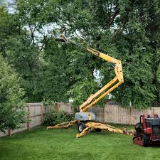 Best Hazardous Tree Removal  in Keasbey, NJ